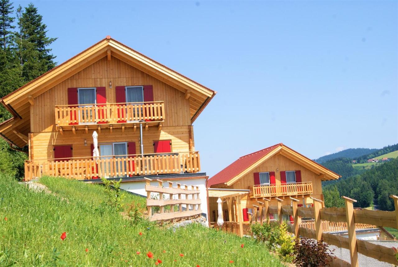 Bergchalet Am Waldrand - Pool, Sauna & Kamin Pollauberg Ngoại thất bức ảnh
