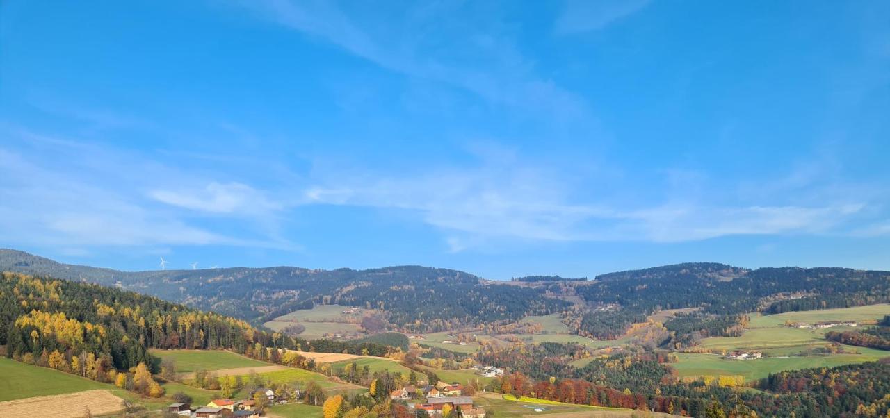 Bergchalet Am Waldrand - Pool, Sauna & Kamin Pollauberg Ngoại thất bức ảnh