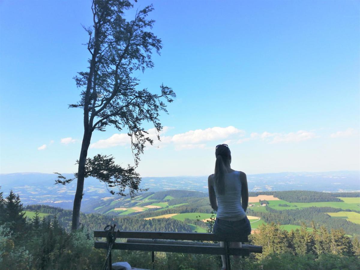Bergchalet Am Waldrand - Pool, Sauna & Kamin Pollauberg Ngoại thất bức ảnh